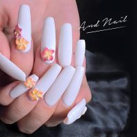 夏!ホワイトスカルプ・プルメリア